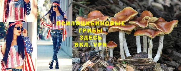 прущие крисы Алзамай