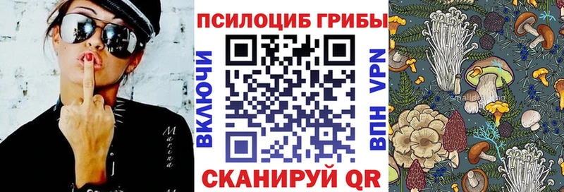 МЕГА вход  Железногорск-Илимский  Псилоцибиновые грибы прущие грибы 